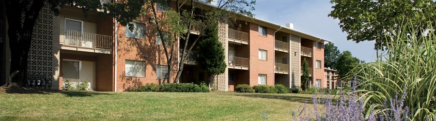 Apartments For Rent Near Washington Dc Chestnut Hill