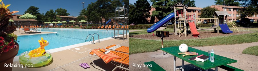 Property Community Amp Neighborhood Details Cat Friendly