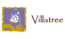 Header Logo