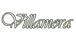 Header Logo