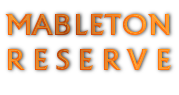 Mableton Reserve Townhomes