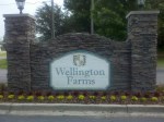 Wellington Farms 
