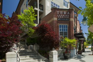 Tera Apartments